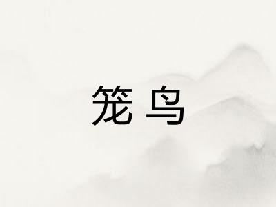 笼鸟 笼鸟