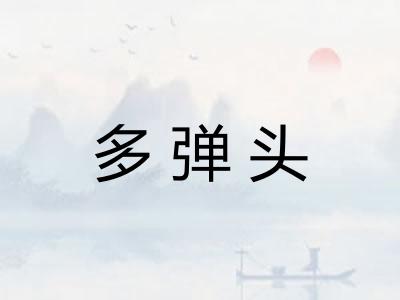 多弹头