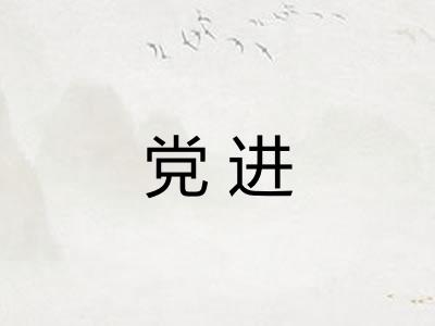 党进 党进