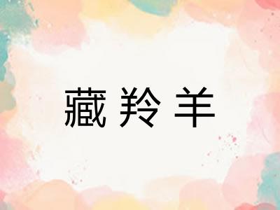 藏羚羊 藏羚羊