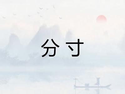 分寸