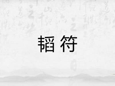 韬符