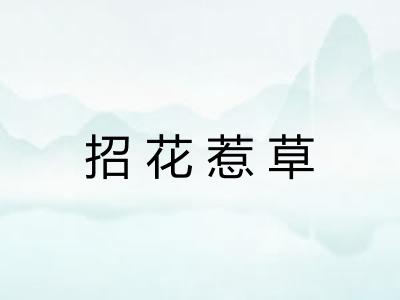 招花惹草 招花惹草