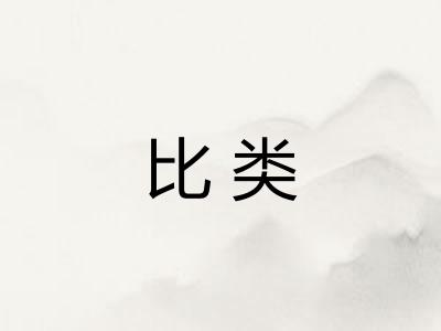 比类