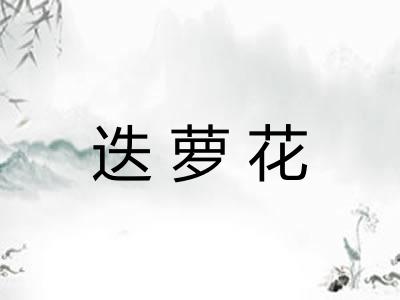 迭萝花