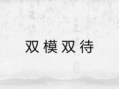 双模双待