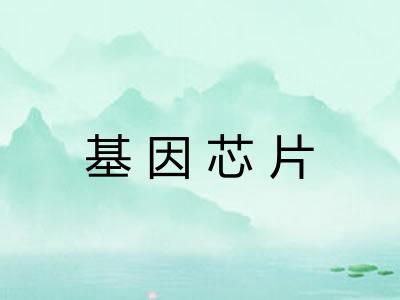 基因芯片 基因芯片