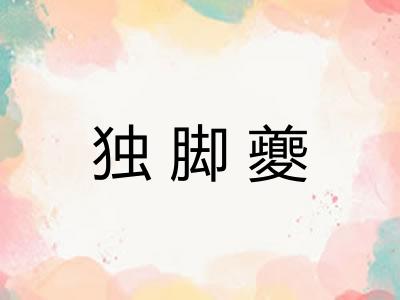 独脚夔