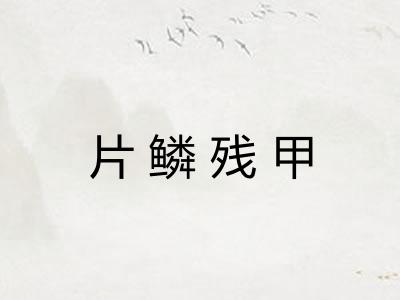 片鳞残甲 片鳞残甲