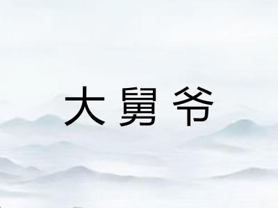 大舅爷