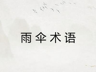 雨伞术语