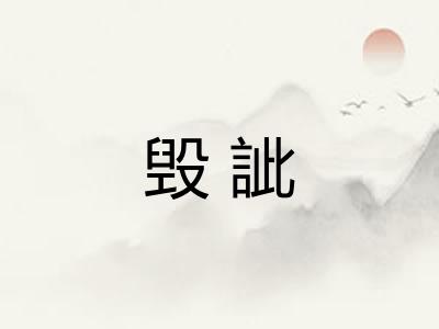 毁訿