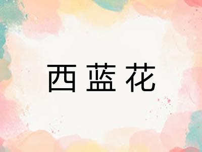 西蓝花 西蓝花
