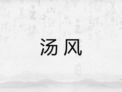 汤风
