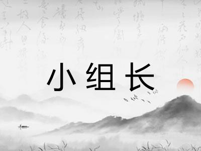 小组长