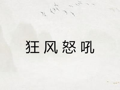 狂风怒吼 狂风怒吼