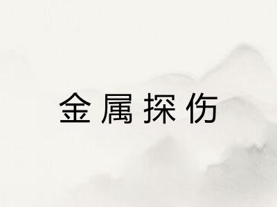 金属探伤
