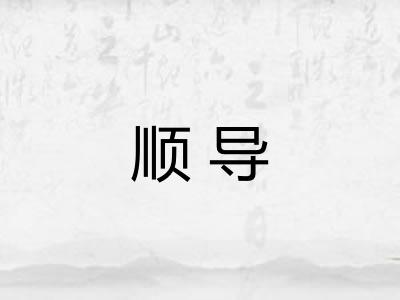 顺导