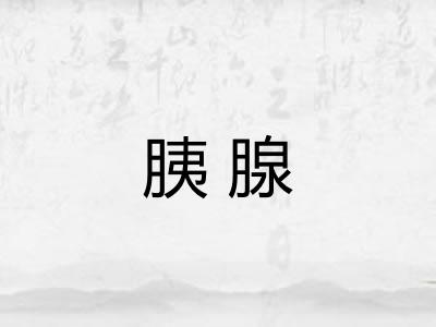 胰腺