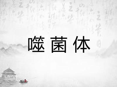 噬菌体