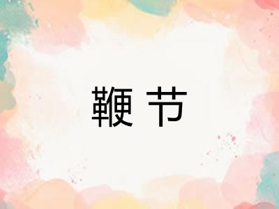鞭节