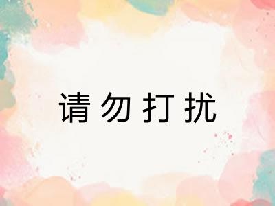 请勿打扰