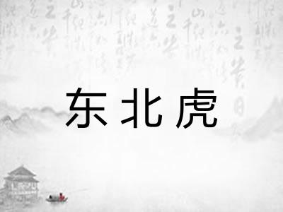 东北虎 东北虎