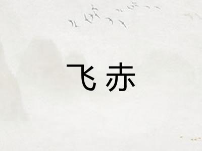 飞赤