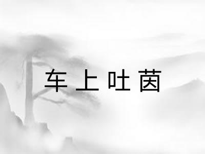 车上吐茵 车上吐茵
