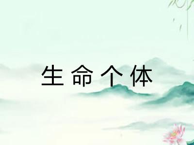 生命个体