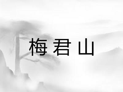 梅君山