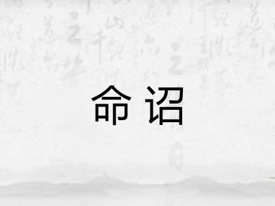 命诏