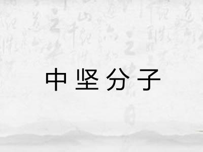 中坚分子