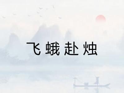 飞蛾赴烛