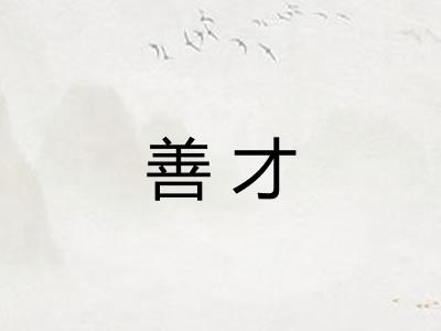 善才