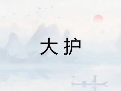 大护