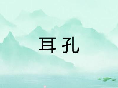 耳孔
