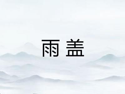 雨盖