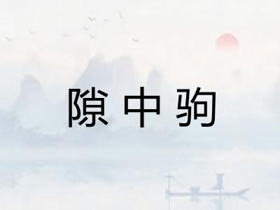 隙中驹