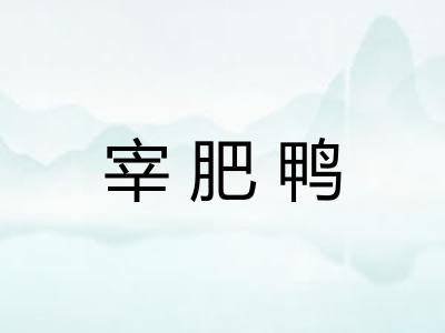 宰肥鸭 宰肥鸭