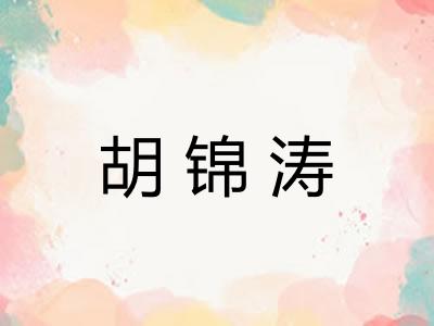 胡锦涛