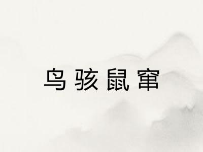 鸟骇鼠窜