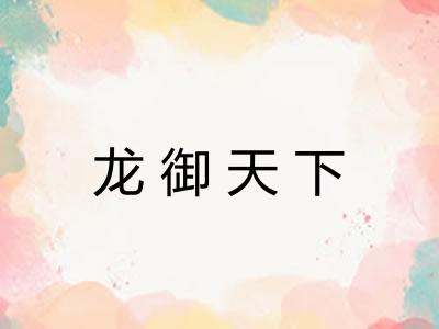 龙御天下