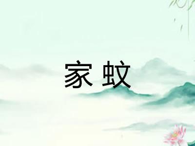 家蚊 家蚊