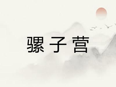 骡子营