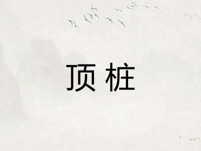 顶桩 顶桩