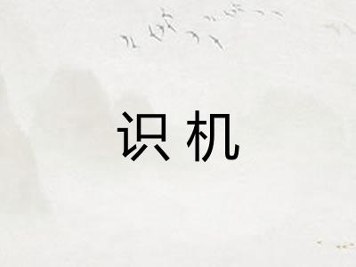 识机