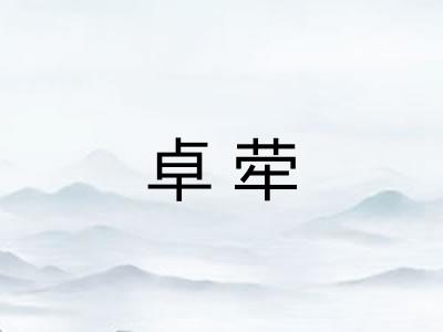 卓荦