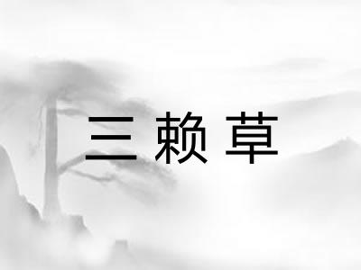 三赖草