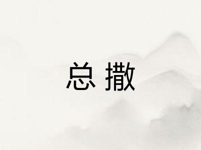 总撒
